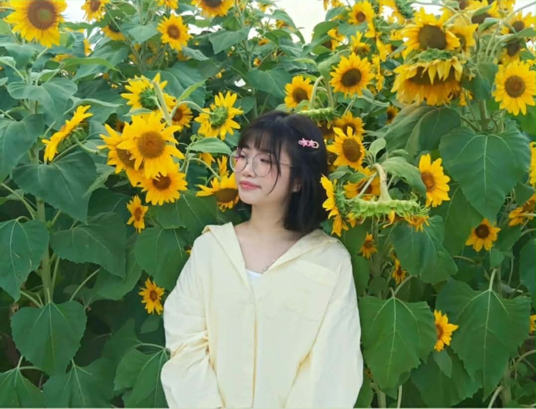 Châu Thị Yến Nhi