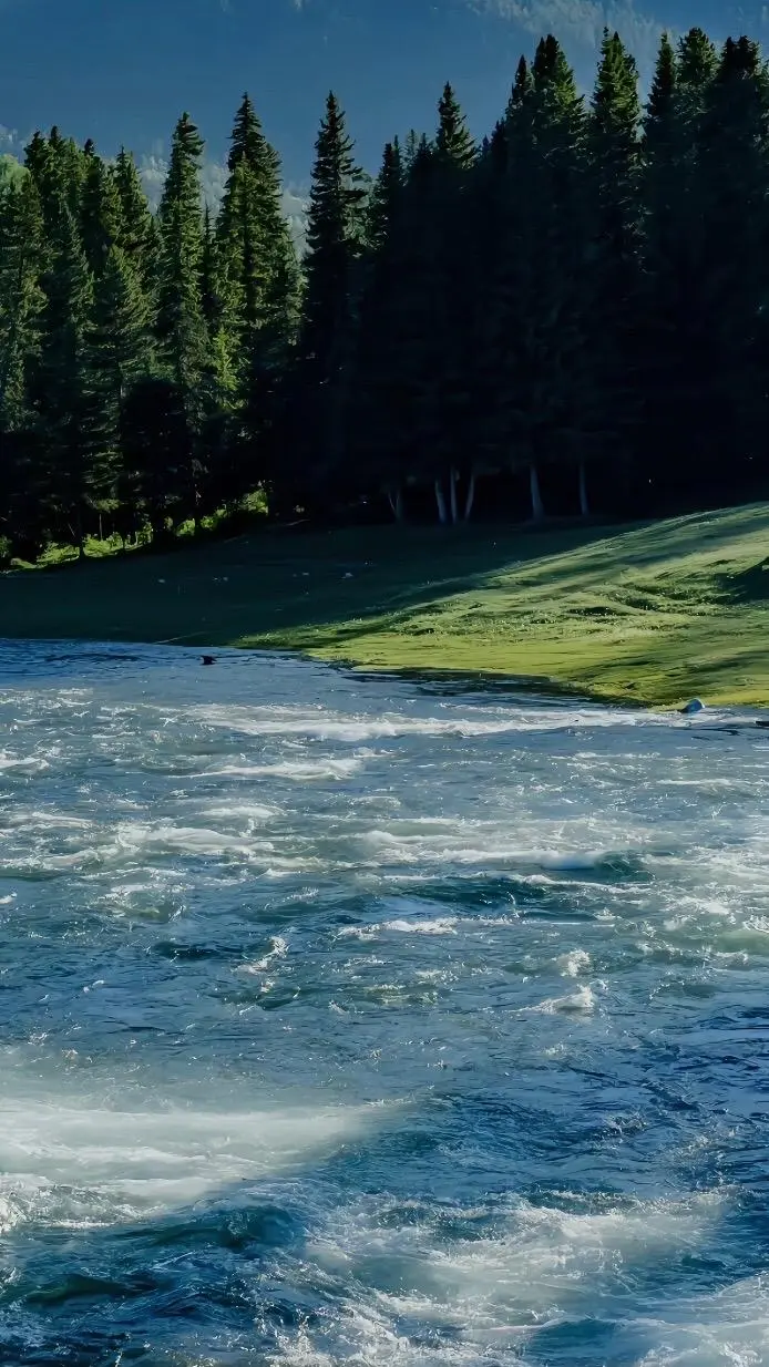 Nguyễn Hùng Phong