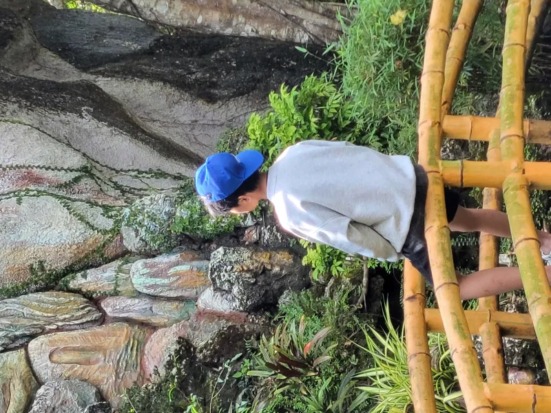 Nguyễn Trung Hiếu